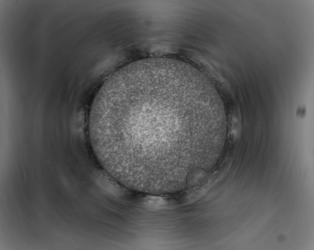 X0000101200519200807251028