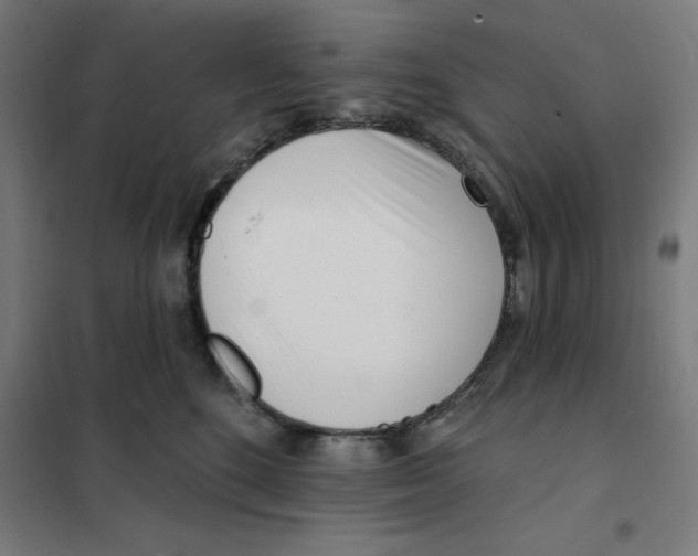 X0000101200520200807251028