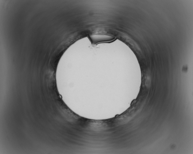 X0000101200521200807251028