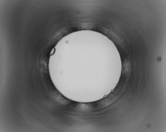 X0000101200522200807251028