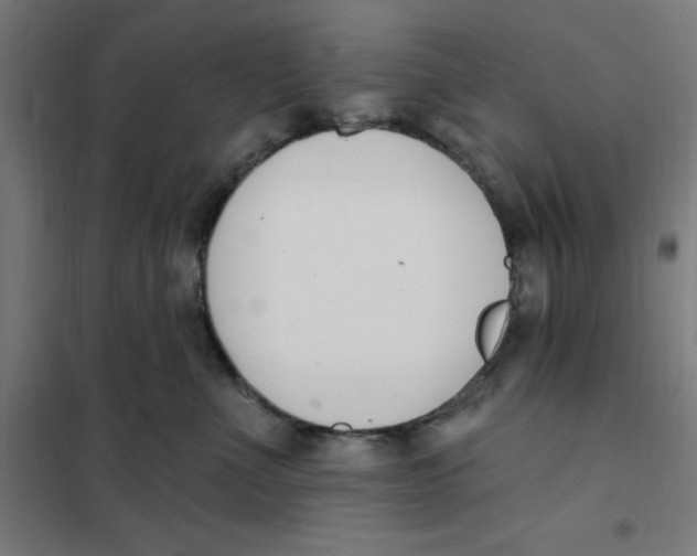 X0000101200523200807251028