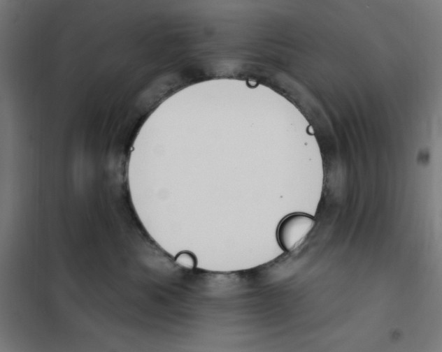 X0000101200525200807251028