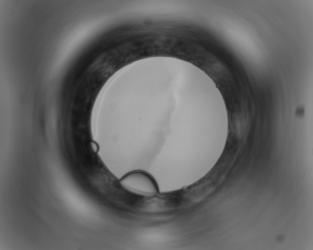 X0000101200526200807251028