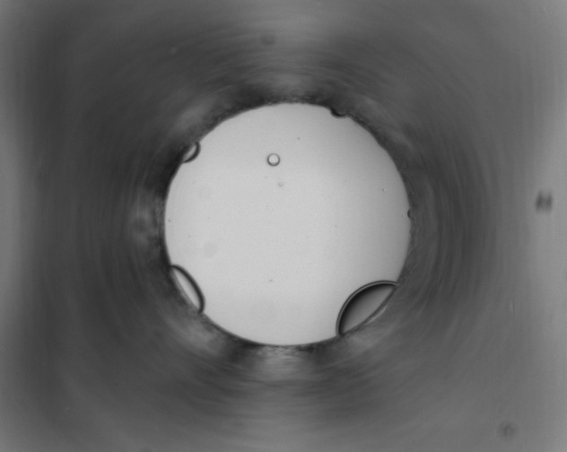 X0000101200528200807251028