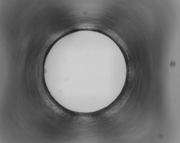 X0000101200529200807251028