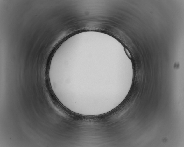 X0000101200530200807251028