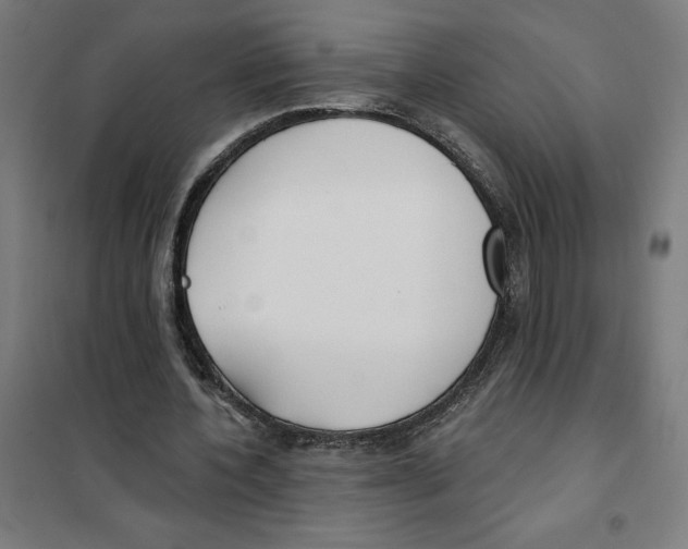 X0000101200532200807251028