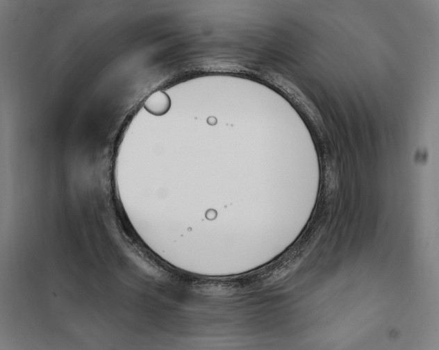 X0000101200533200807251028