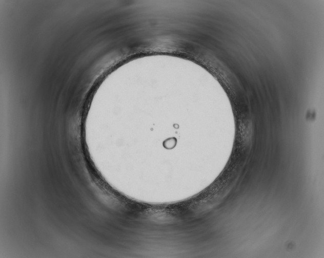 X0000101200534200807251028