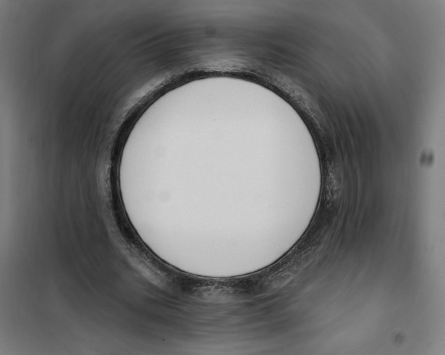 X0000101200535200807251028