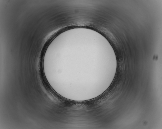 X0000101200536200807251028