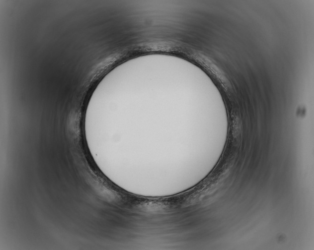 X0000101200537200807251028