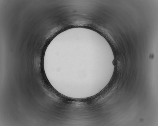 X0000101200539200807251028