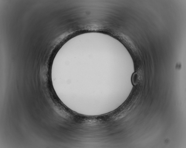 X0000101200540200807251028