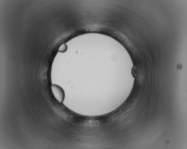 X0000101200543200807251028