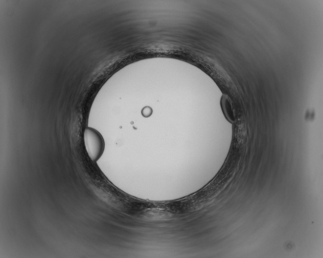 X0000101200544200807251028