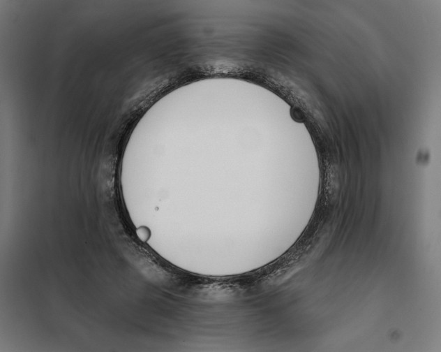 X0000101200545200807251028