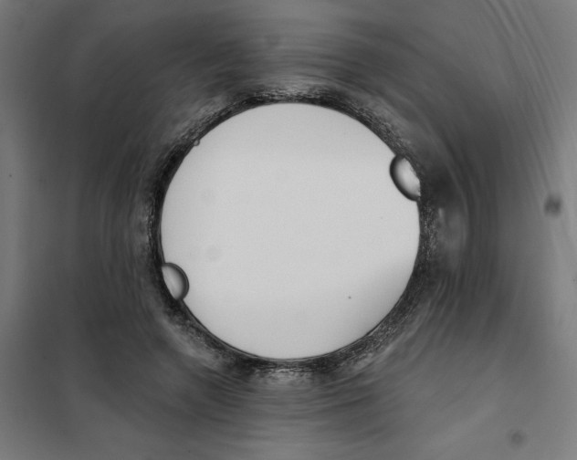 X0000101200546200807251028