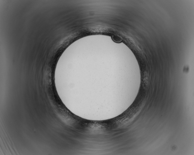 X0000101200547200807251028