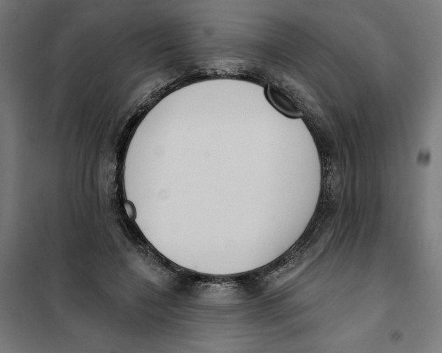 X0000101200548200807251028