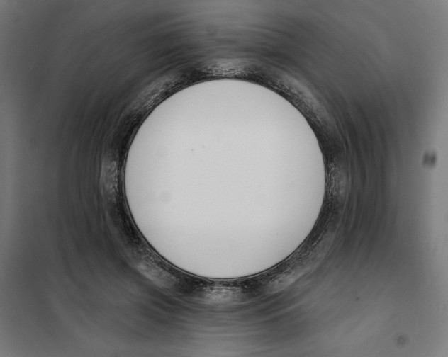 X0000101200549200807251028