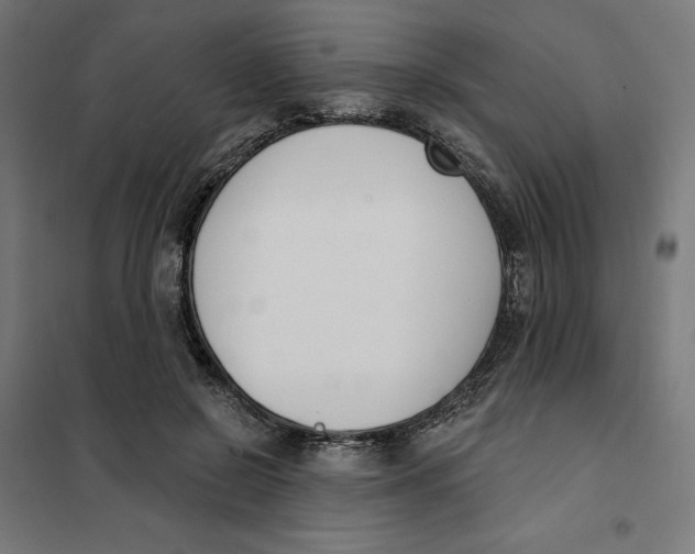 X0000101200550200807251028