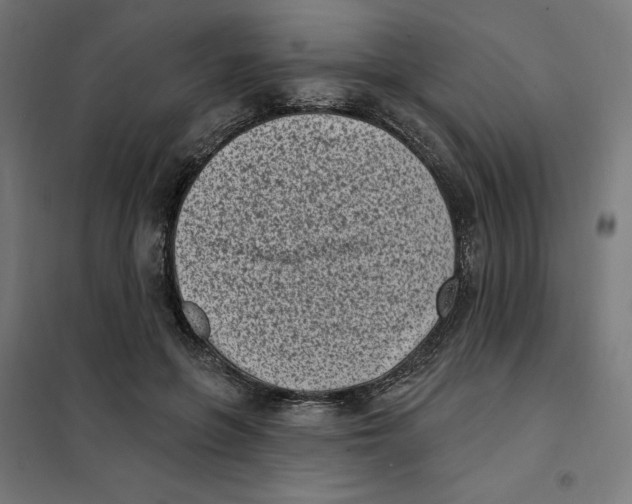 X0000101200551200807251028