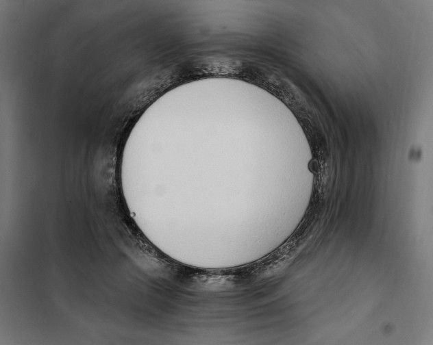 X0000101200553200807251028