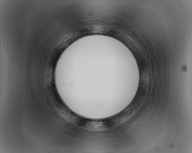 X0000101200554200807251028