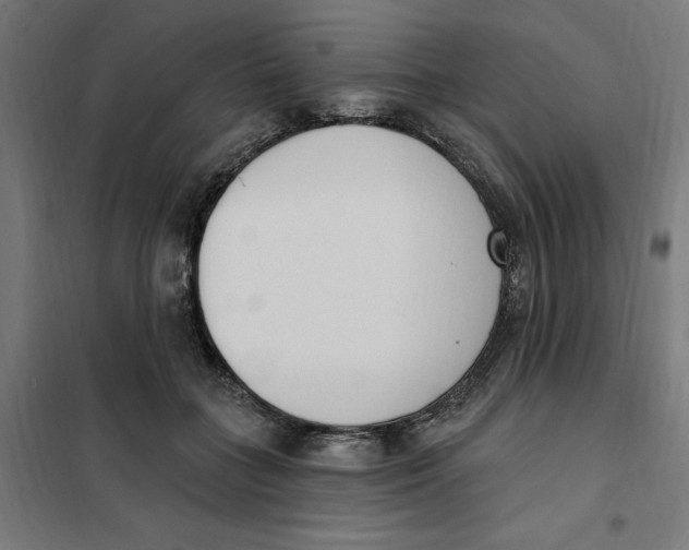 X0000101200555200807251028