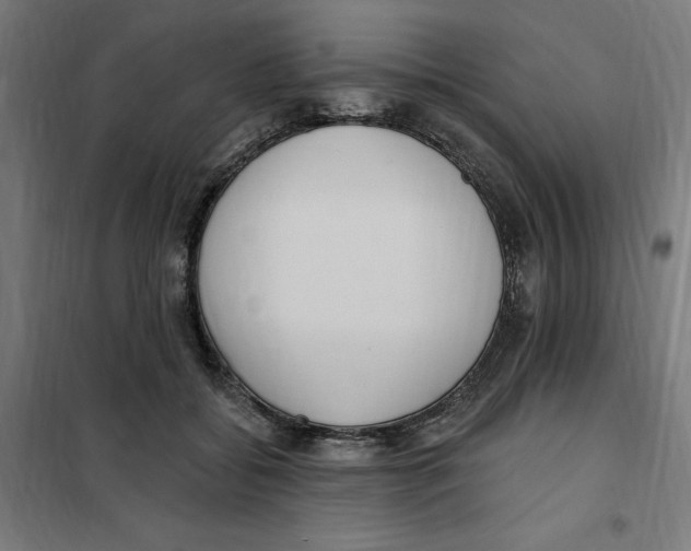 X0000101200556200807251028