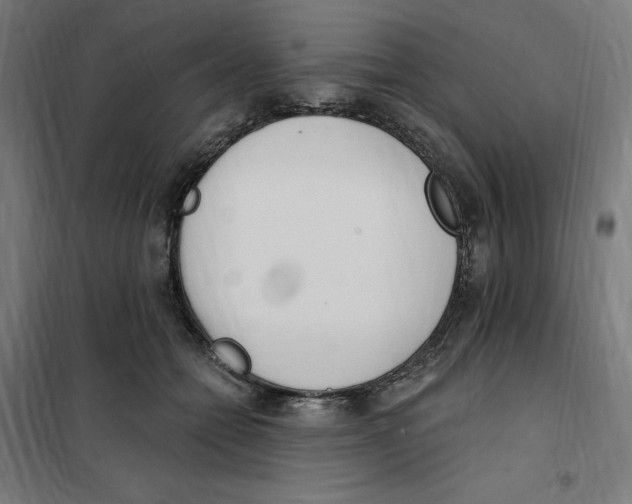 X0000101200558200807251028