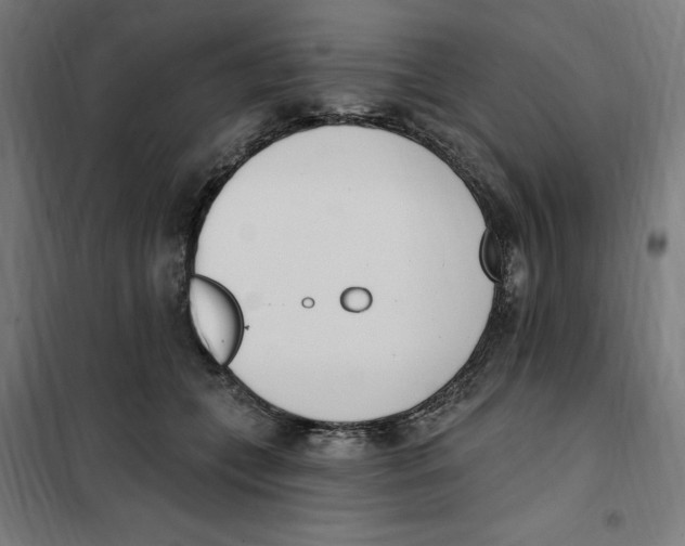 X0000101200559200807251028