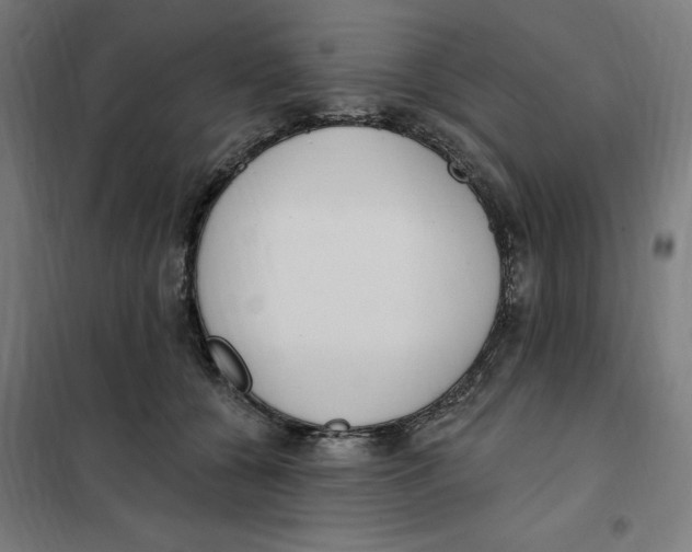 X0000101200560200807251028