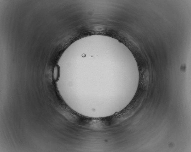 X0000101200562200807251028