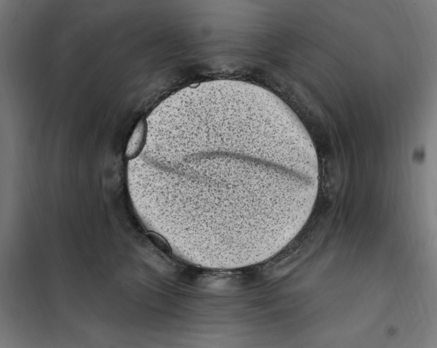 X0000101200563200807251028