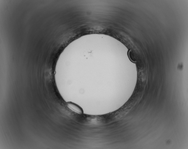 X0000101200564200807251028