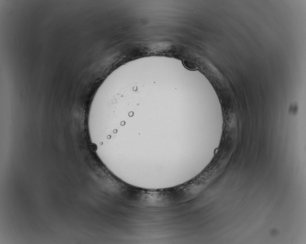 X0000101200565200807251028