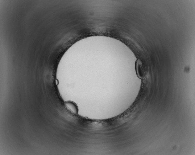 X0000101200566200807251028