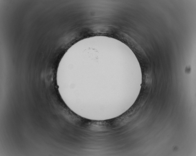 X0000101200567200807251028