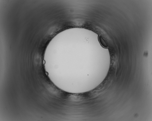 X0000101200568200807251028