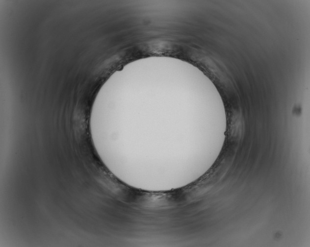 X0000101200569200807251028