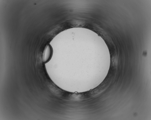 X0000101200570200807251028