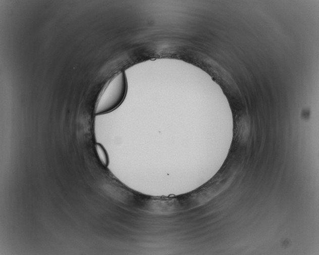 X0000101200571200807251028