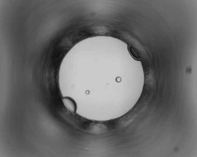 X0000101200572200807251028