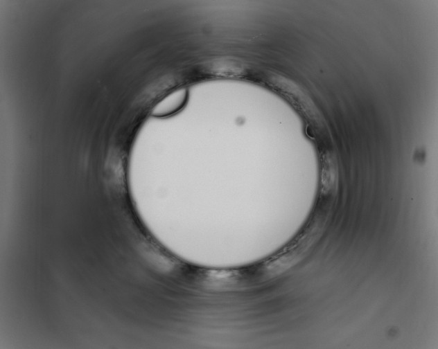 X0000101200573200807251028