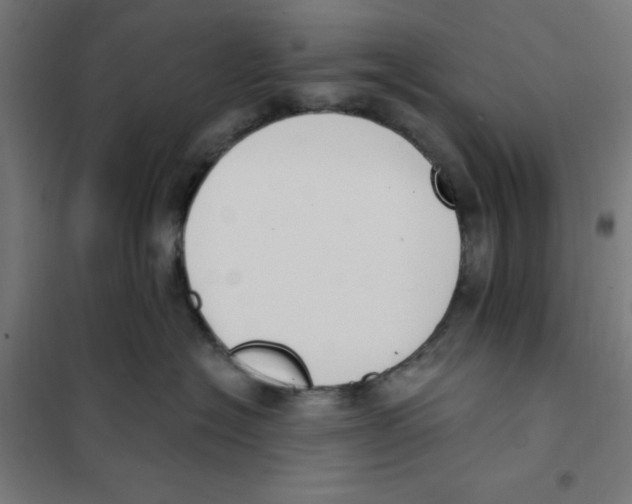 X0000101200574200807251028