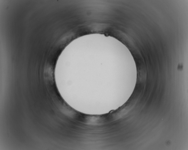 X0000101200575200807251028