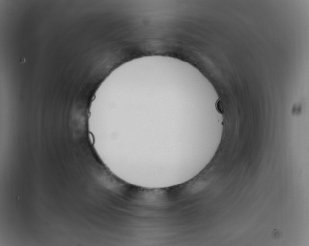 X0000101200576200807251028