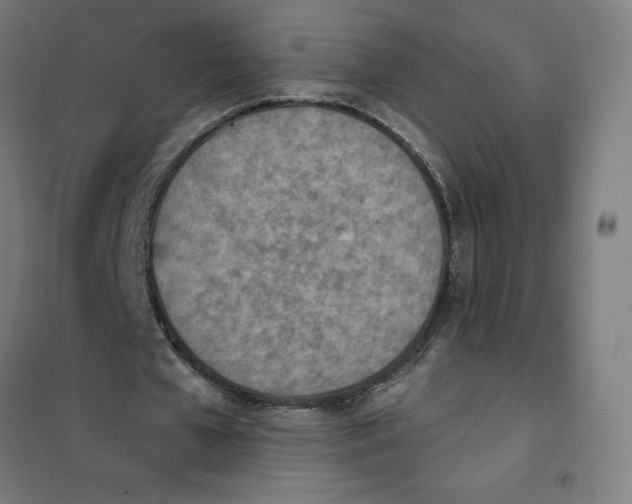 X0000101200577200807251028